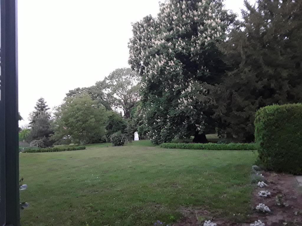 Igmandy Kuria Hotel Nagybajom Buitenkant foto